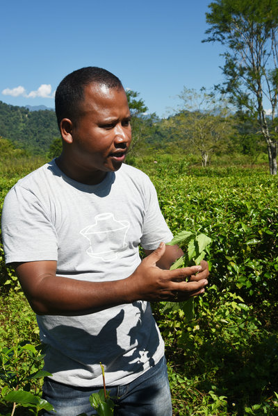 tea-dsc_4165_custom-f26dac282301c68a7ef79adff58e4fdc2663934e-s400-c85