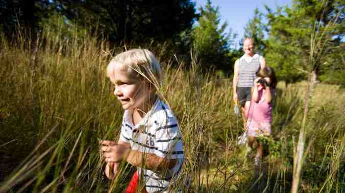 tnc_76472733_preview_cropped