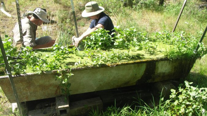 SandTroughBefore2-e1521583715535-1260x708