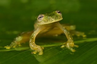 Preston-Ecological-expedition-Honduras-1