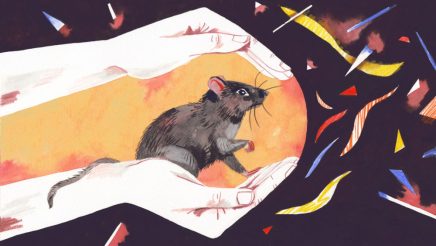 PRINT-yalee360-luisa-rivera_web