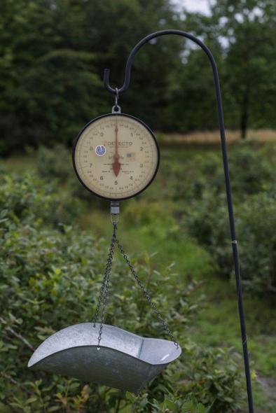 merlin_140240076_657a5a5c-25ab-46ee-8b56-6245258b0b2f-jumbo