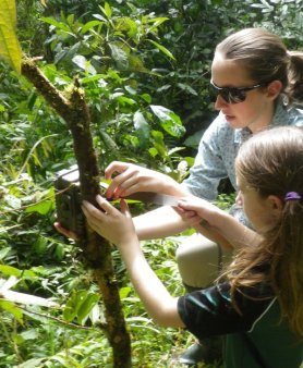 24forests-inyt9-articleLarge