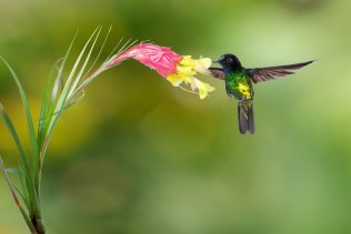 merlin_143901342_d0359165-6129-404f-855b-d2d4fb6614dc-superJumbo