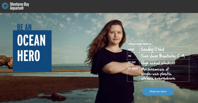 OceanHero.jpg