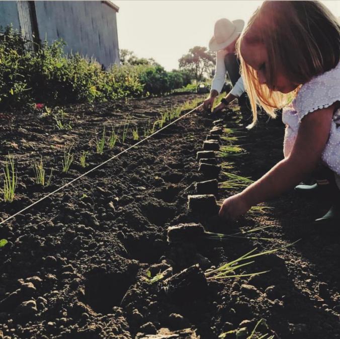 101618_mb_FarmSuccession_EmmaTransplanting_0