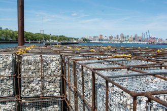 20180626-dsc_8730_custom-017620689c347e9ace4501eb1e5f40b39875a047-s1400-c85