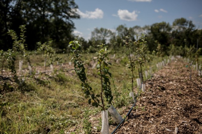 merlin_142713792_582225fa-f36e-4060-bf8f-fec10923a552-jumbo