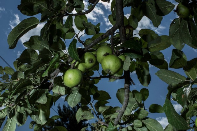 merlin_142713882_be9ebc0e-dd46-437b-98c1-b3318b6157b2-jumbo