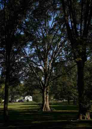 merlin_144034215_0e5eb0e9-e3ad-4046-b39b-a6189d715df7-superJumbo