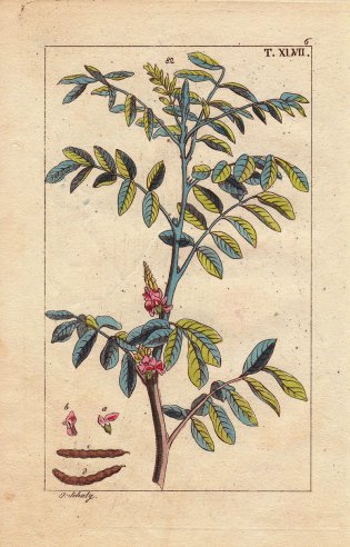 26tmag-indigo-slide-9B7X-superJumbo