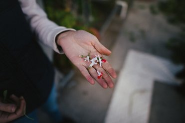 merlin_144673632_dfabac81-c188-4367-b046-3873ebcf1817-jumbo