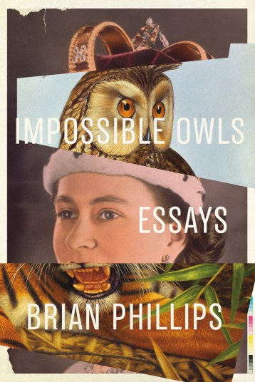 ImpossibleOwl.jpg