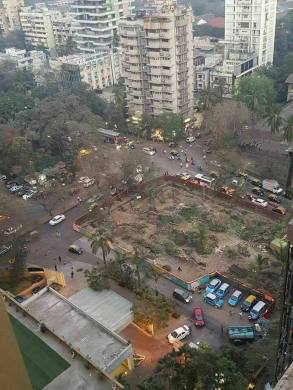 ZB_MumbaiTreesStreet_2017.jpg
