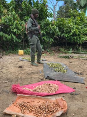 Best-Cocoa-Photos-03_SODEFOR-park-ranger-in-charge-of-Cavally-protected-area-standing-over-illegal-cocoa-found-during-a-patrol_web.jpg