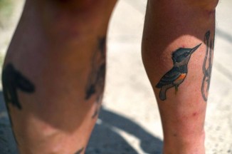 BirdTattoo2
