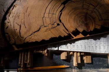 merlin_153309360_fa758574-8314-483b-9ea2-4f56a77fbef9-jumbo