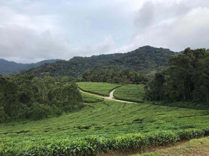 Rwanda6