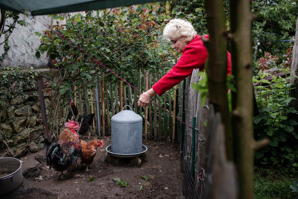 merlin_156502626_5c60349c-ce66-4fb6-b0fc-ccf7da3ed7cb-jumbo