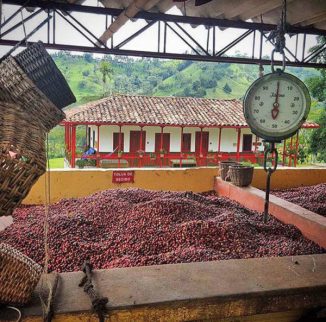 Finca-Ocaso-Farm_Tradicion-cafetera_web1000.jpg