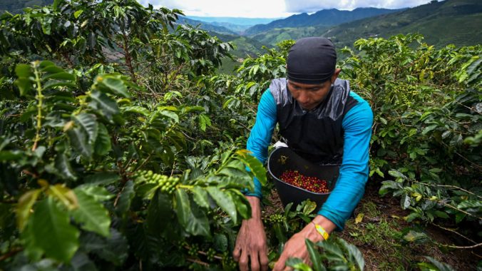 GettyImages-1146667212_ColombiaCoffee_web.jpg