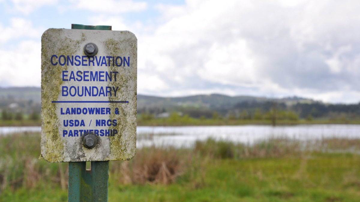 Oregon_BudeauWetlandEasement_TracyRobillardNRCS_web.jpg