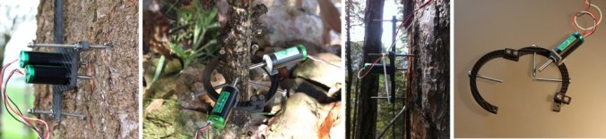 DendroCollection_2014-1024x237