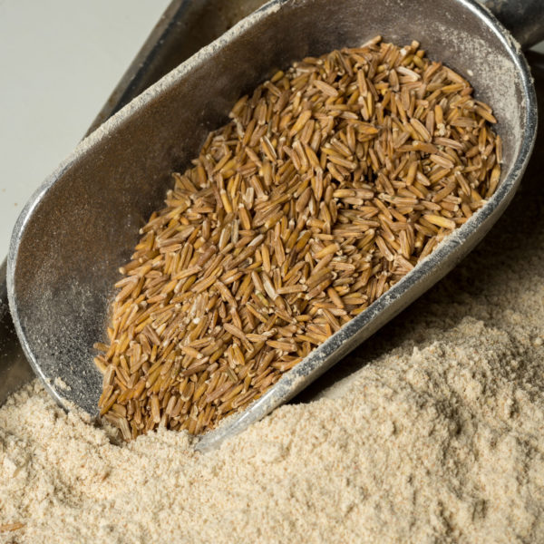 Kernza-Seeds-and-Milled-Flour-Oct-2017_web.jpg