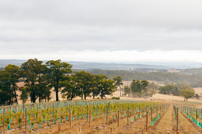 merlin_152272566_ff8c054a-7459-4402-96ec-cf6860c71b29-master1050