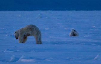 merlin_166333812_bb245b5b-e53a-42db-b2ab-93701fedb3fc-jumbo