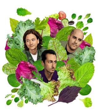 05Sweetgreen-illo-mobileMasterAt3x