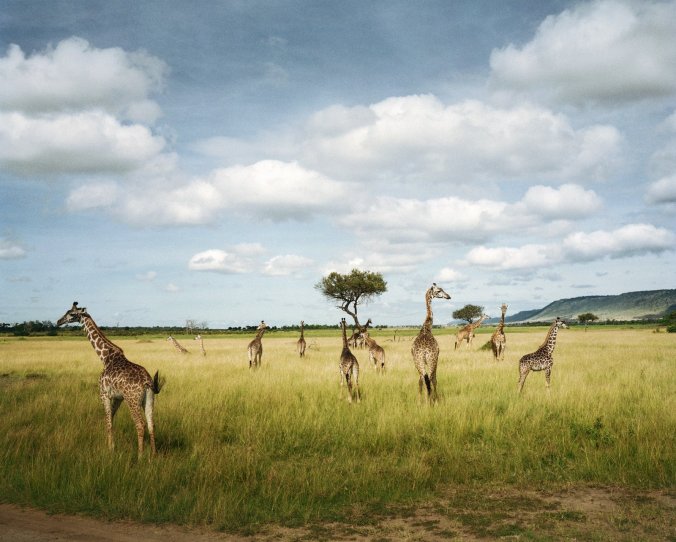 JLA-RichardLeakey-Secondary