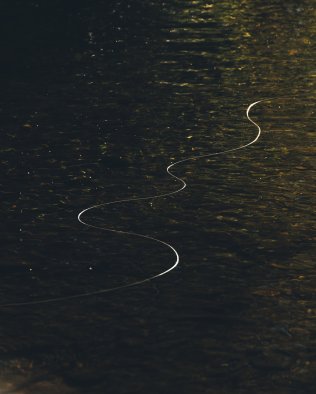 merlin_162397920_8fd06141-7343-46bc-a68b-8b1c790773f0-superJumbo