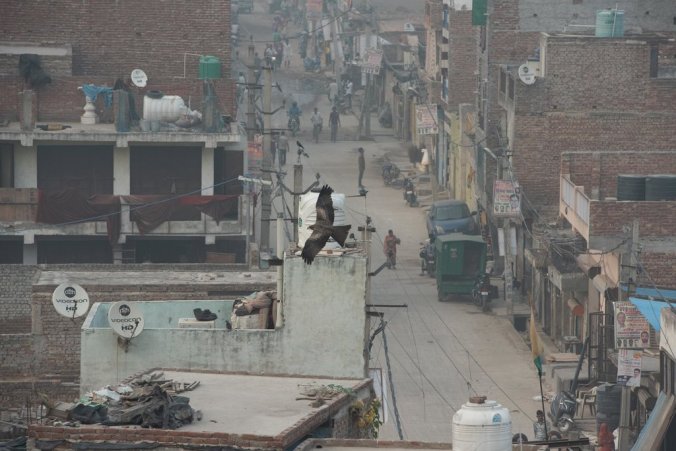 merlin_164360619_2da35a31-32a0-4feb-abd7-e39d5814a61a-jumbo