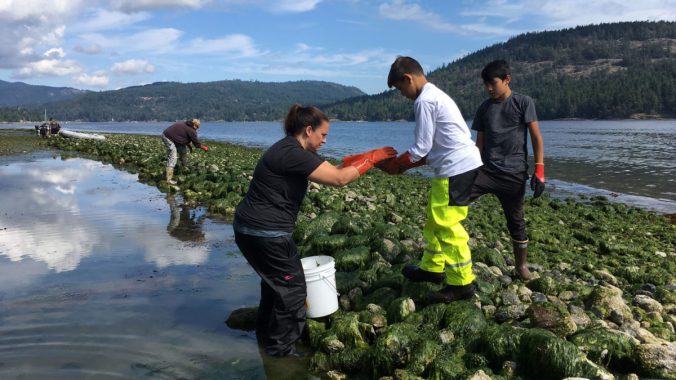 IMG_3276_Swinomish_clam-garden_web