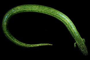 merlin_169642629_a3e022bf-ee8a-498f-a8a3-471f5cb3b125-jumbo