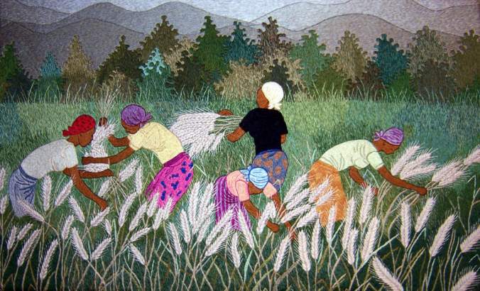 wheat_harvesters