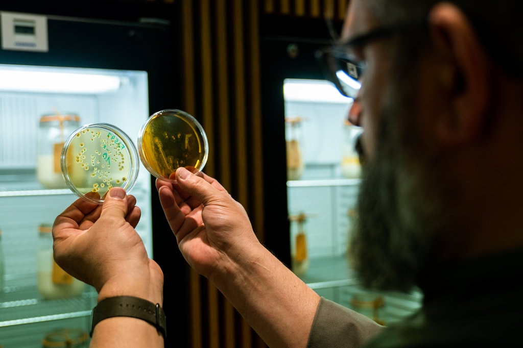 00SCI-SOURDOUGH2-jumbo