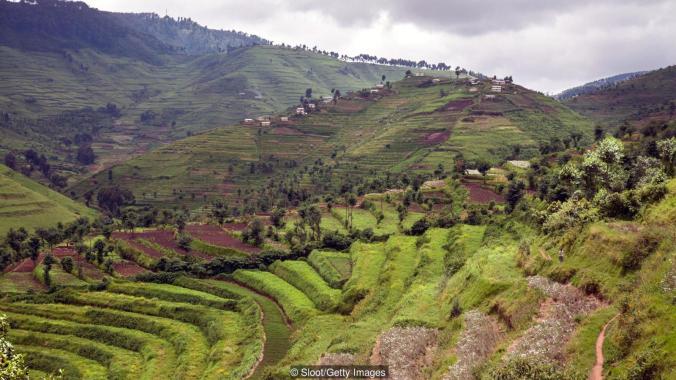 Newly constructed terraces in Rwanda