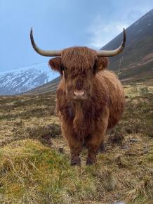 7ad379620abc8aceddf0b11e06e91ce4