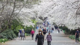 2BCWX7G_alamy-central-park_web