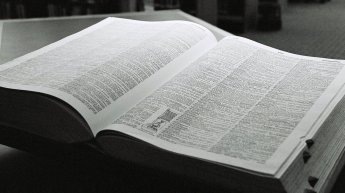 3338710223_0a5bfd516c_o