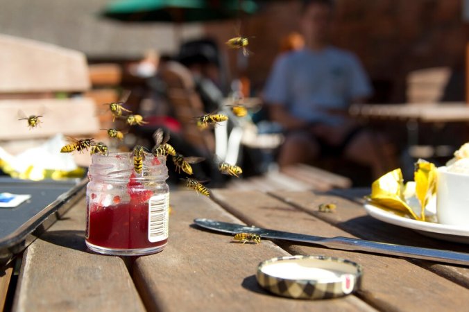 merlin_174686076_b18624be-77dd-41b1-ba34-f5a7e2356151-jumbo