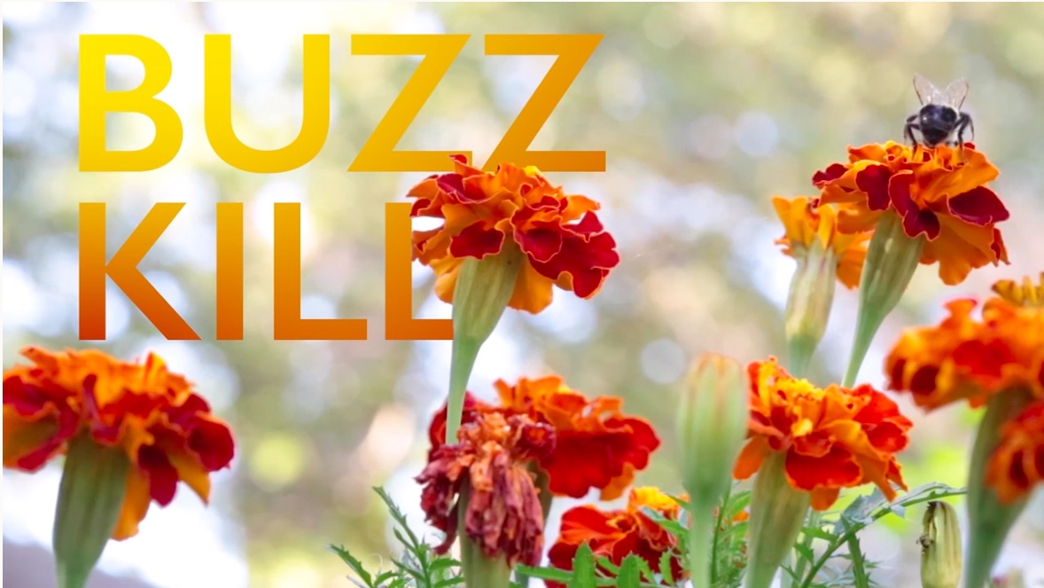Buzzkill