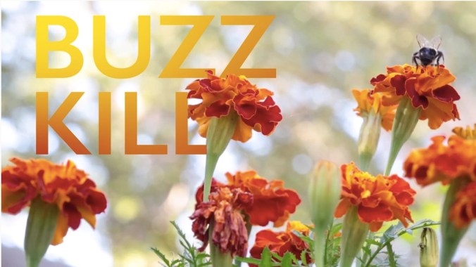 Buzzkill