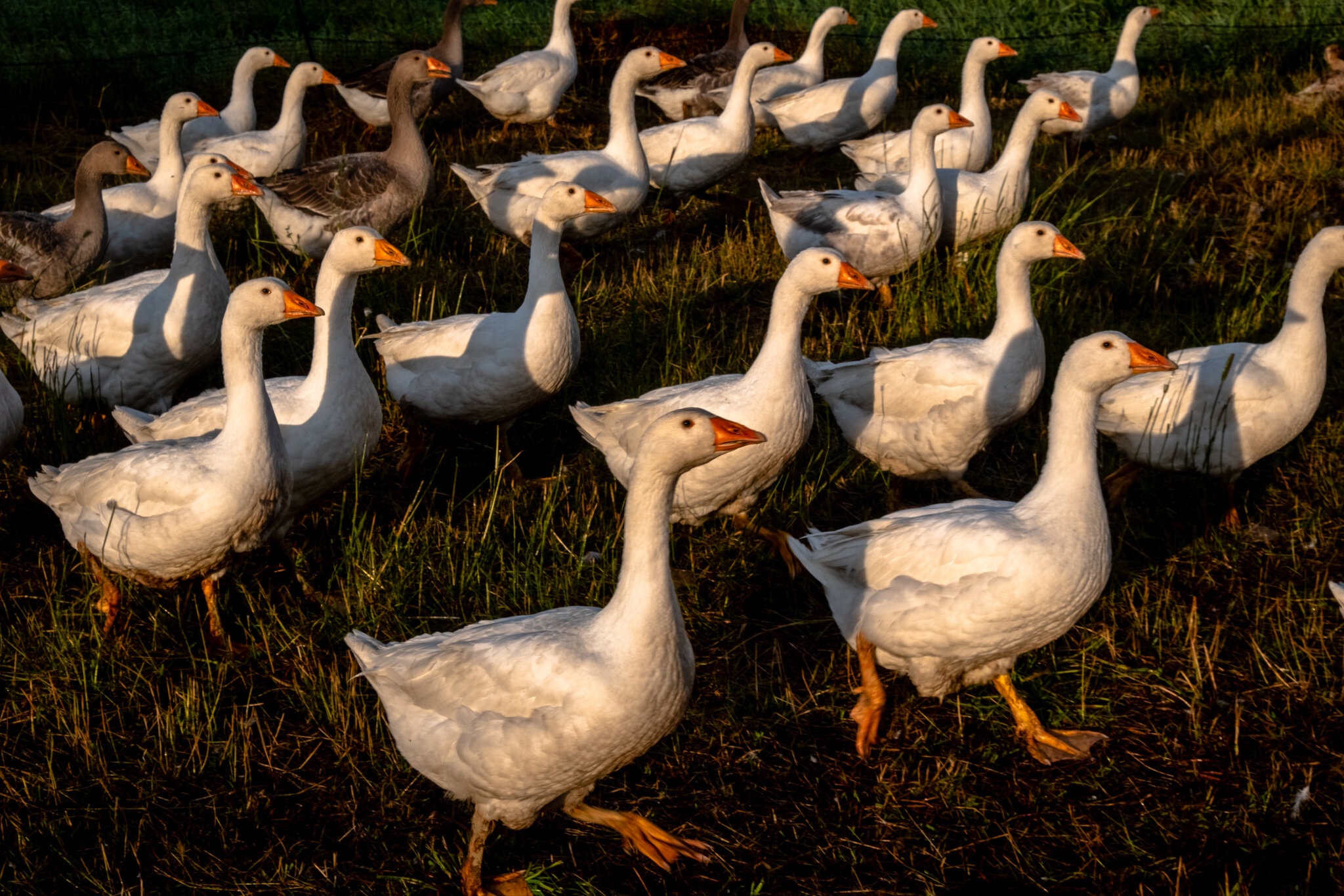 merlin_175042608_2a4dde30-9e9a-43b9-a4ad-6577fd58351c-superJumbo