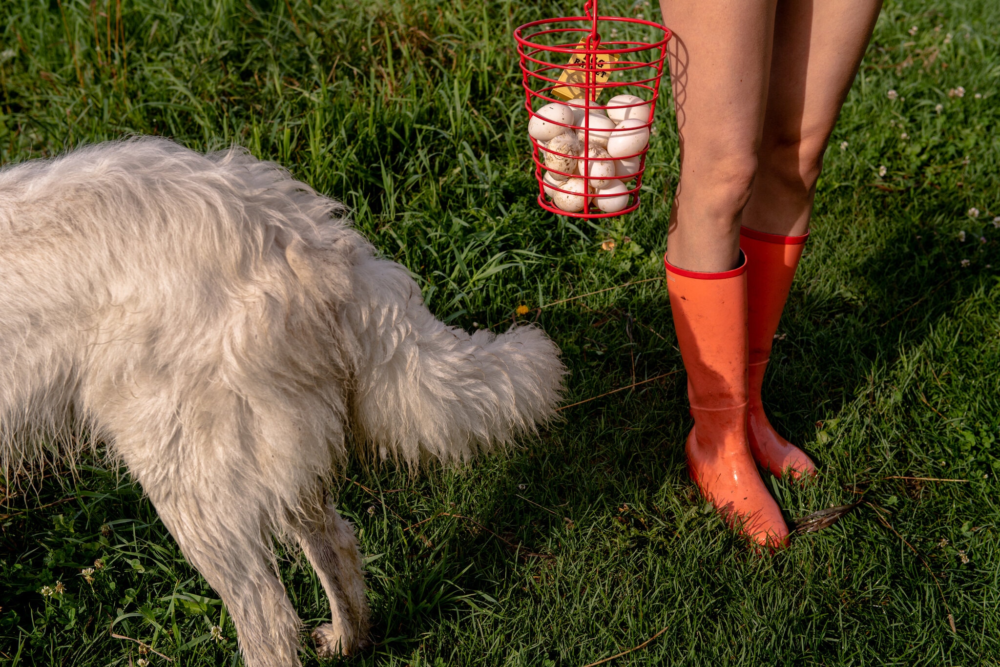 merlin_175042704_e4edf125-1362-4ae9-a81d-1f4da04cacba-superJumbo