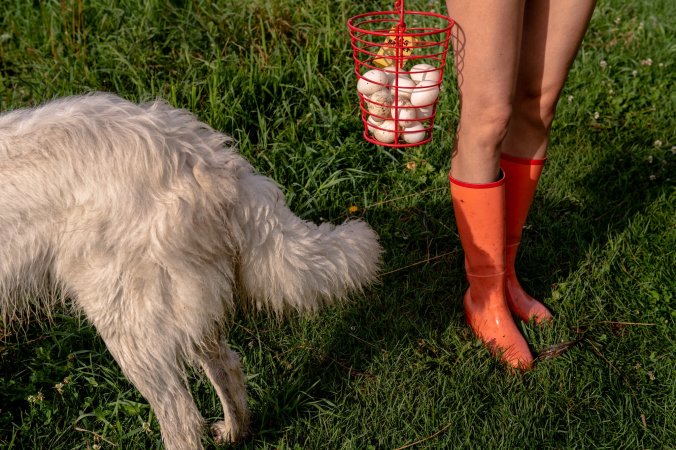 merlin_175042704_e4edf125-1362-4ae9-a81d-1f4da04cacba-superJumbo